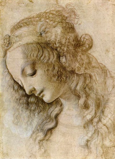 Female head in profile by Leonardo da Vinci